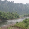 Dehing Patkai Wildlife Sanctuary