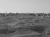 Dhiban