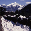 Dhorpatan Hunting Reserve