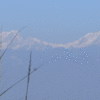 Dhulikhel