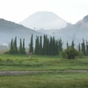 Dieng Plateau