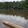 Dja Faunal Reserve Dja Faunal Reserve