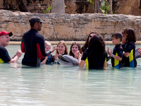 Animals Tour And Interaction With Dolphines Animals Tour And Interaction With Dolphines