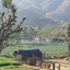 Pushkar Pushkar