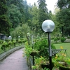 Municipal Garden