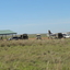 Keekorok Airport Keekorok Airport