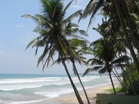 Medawatta Beach