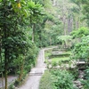 Merapi Lookout Trail Merapi Lookout Trail