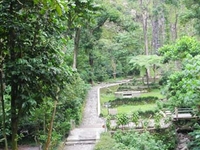 Merapi Lookout Trail
