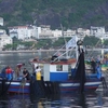 Botafogo Botafogo