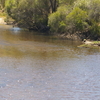 Dale River Dale River