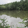 Darland's Lake Nature Reserve