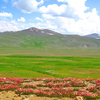 Deosai National Park Deosai National Park