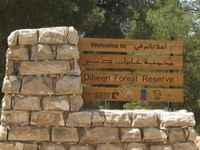Dibeen Forest Reserve