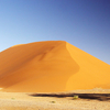 Dune 45 Dune 45