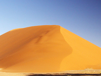 Dune 45 Dune 45