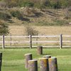 Durrington Walls