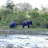 Way Kambas National Park Way Kambas National Park