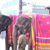 Tirupati