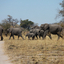 Caprivi Strip Caprivi Strip