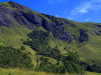 Eravikulam National Park Eravikulam National Park