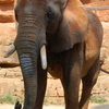Greenville Zoo Greenville Zoo