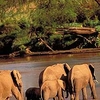Selous Game Reserve