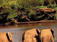 Selous Game Reserve