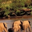 Selous Game Reserve Selous Game Reserve