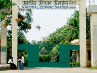Bangladesh National Herbarium Bangladesh National Herbarium