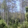 Black Bulga State Conservation Area Black Bulga State Conservation Area