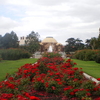 Exposition Park Rose Garden Exposition Park Rose Garden