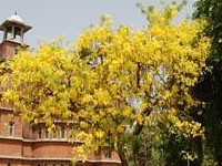 Maharaja Fateh Singh Museum