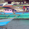 Biak Biak