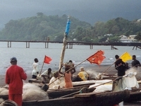 Limbe Limbe