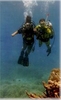 Fish Rock