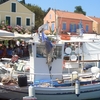 Fiskardo