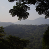 Tijuca Forest Tijuca Forest