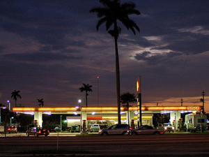 everglades touristlink