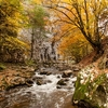 Cheile Nerei-Beușnița National Park
