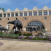 Fernbank Museum Of Natural History