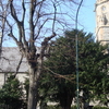 St Bartholomew's Church