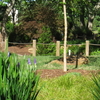Furman University Japanese Garden Furman University Japanese Garden