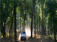 Gandhisagar Wildlife Sanctuary Gandhisagar Wildlife Sanctuary