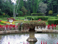 Peradeniya Peradeniya