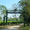Gorumara National Park