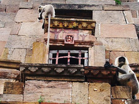 Gauri Somnath Temple Gauri Somnath Temple
