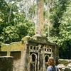 Gedi
