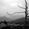 Longfellow Peak