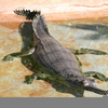 Katarniaghat Wildlife Sanctuary Katarniaghat Wildlife Sanctuary